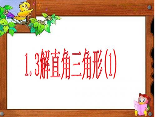 【数学课件】九年级下第1章解直角三角形课件(浙教版共6份)(4)