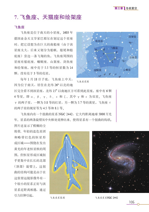 7.飞鱼座、天猫座和绘架座_星座趣谈_[共4页]