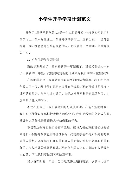 精选-小学生开学学习计划范文