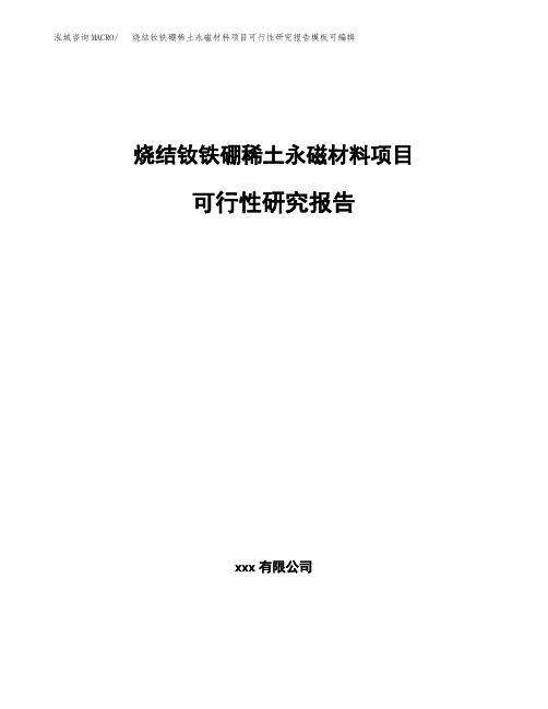 烧结钕铁硼稀土永磁材料项目可行性研究报告模板可编辑