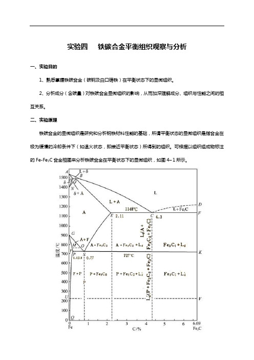 铁碳合金平衡组织观察与分析报告