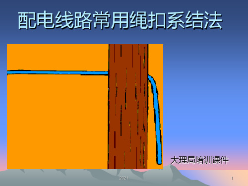 配电线路常用绳扣系结法PPT课件