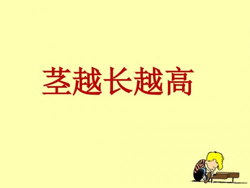 《茎越长越高》教学课件