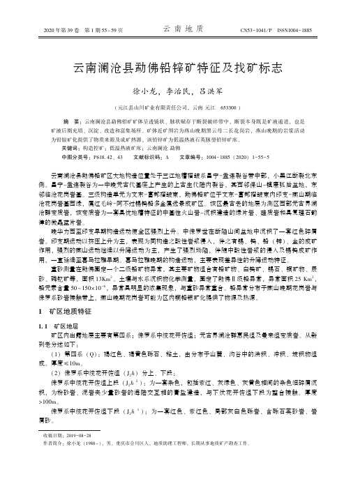 云南澜沧县勐佛铅锌矿特征及找矿标志