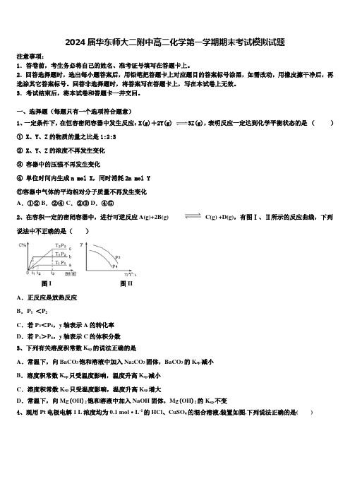 2024届华东师大二附中高二化学第一学期期末考试模拟试题含解析