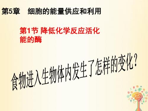 高中生物第五章细胞的能量供应和利用第1节降低化学反应活化能的酶1课件新人教版必修1