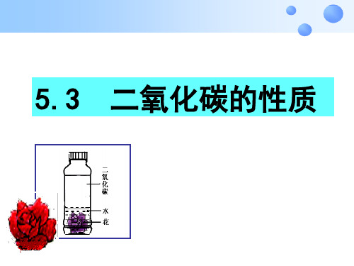 粤教版九上化学  二氧化碳的性质和制法 课件