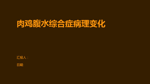 肉鸡腹水综合症病理变化