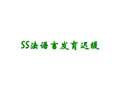 SS法语言发育迟缓