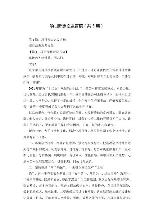 项目部表态发言稿(共3篇)