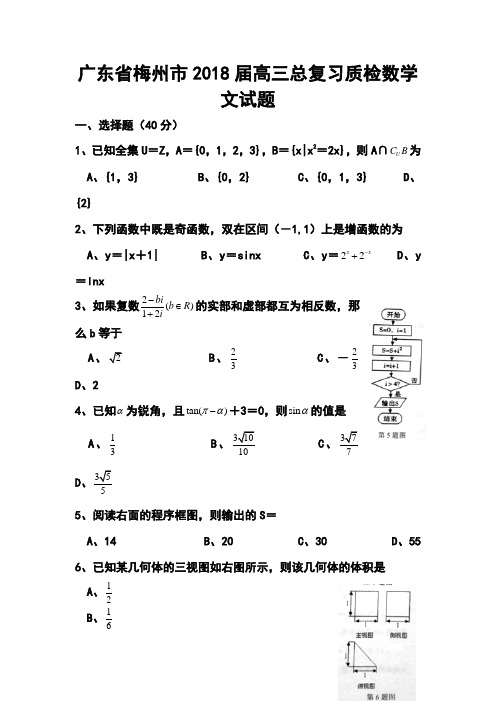 2018届广东省梅州市高三第二学期总复习质检文科数学试卷及答案