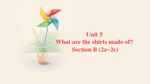 Unit5SectionB(2a_2e)课件人教版英语九年级全一册