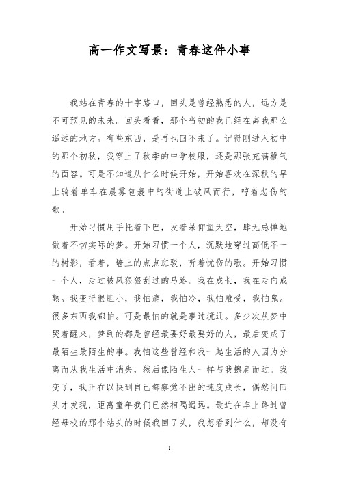 高一作文写景:青春这件小事_4