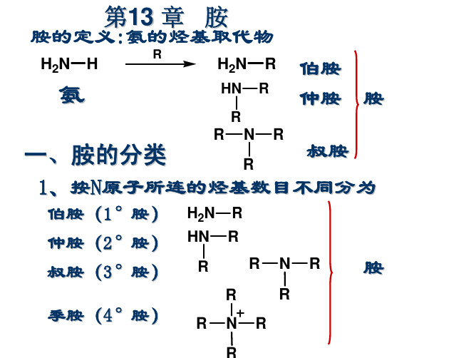 胺的定义氨的烃基取代物