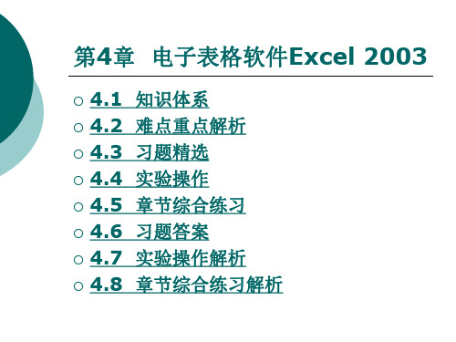 第4章  电子表格软件Excel 2003  大学计算机基础教学课件