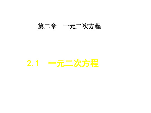 《一元二次方程》PPT课件