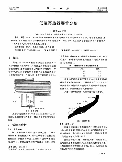 低温再热器爆管分析