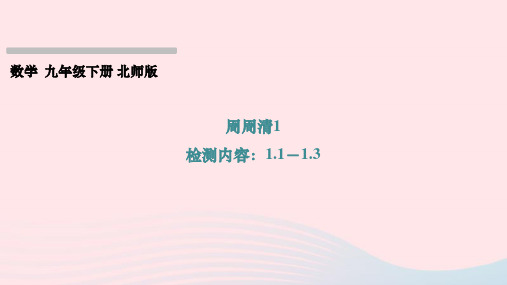 九下周周清1作业新版北师大版