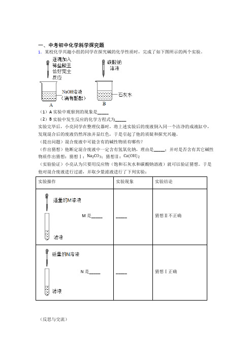 中考化学探究题-经典压轴题含详细答案