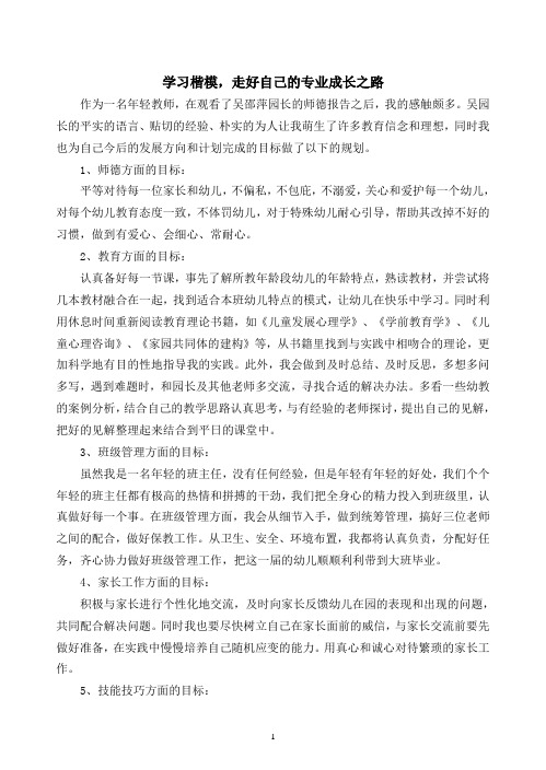 学习楷模,走好自己的专业成长之路