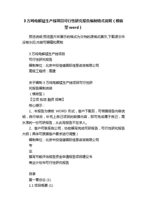 3万吨电解锰生产线项目可行性研究报告编制格式说明（模板型word）