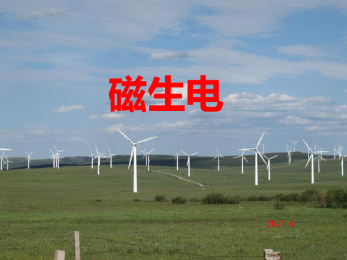 物理人教版九年级全册20.5 磁生电 (2)