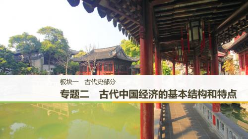 2019届二轮复习 专题二 古代中国经济的基本结构和特点 课件(70张)