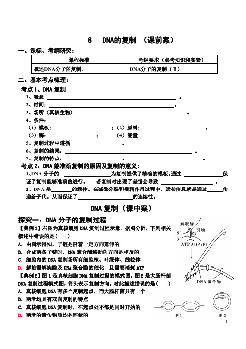 3-3 DNA的复制