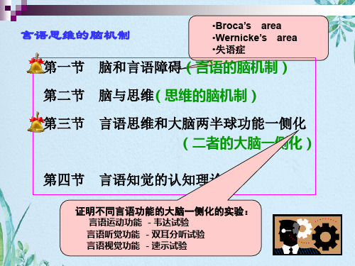 言语与思维的脑机制生理学心理学全解