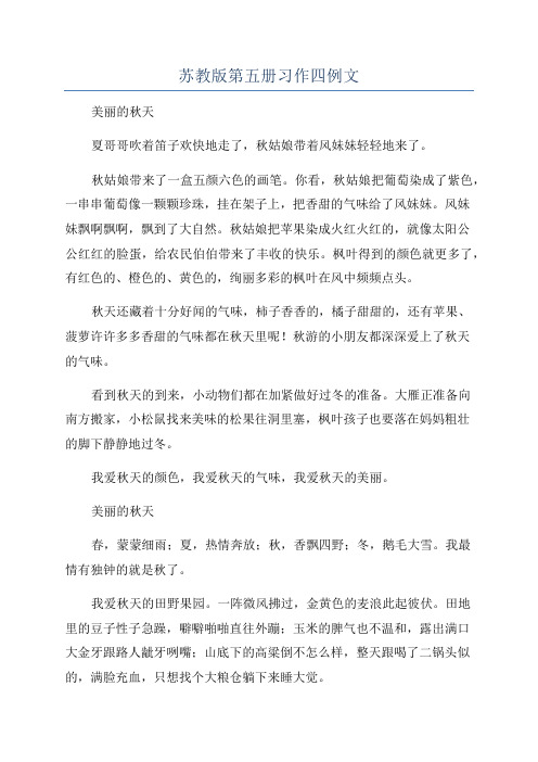 苏教版第五册习作四例文