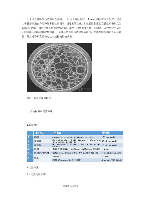 血管生成实验步骤-实验方法完善版