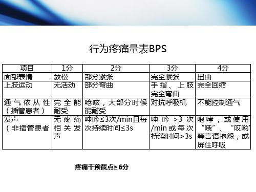 BPS疼痛评分