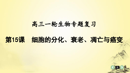 高三一轮生物专题复习15：细胞的分化、衰老、凋亡与癌变