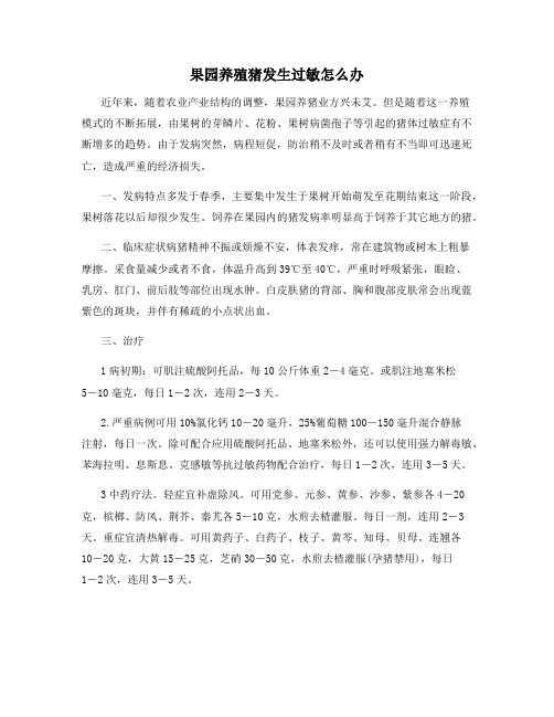 最新果园养殖猪发生过敏怎么办【动植物养殖】