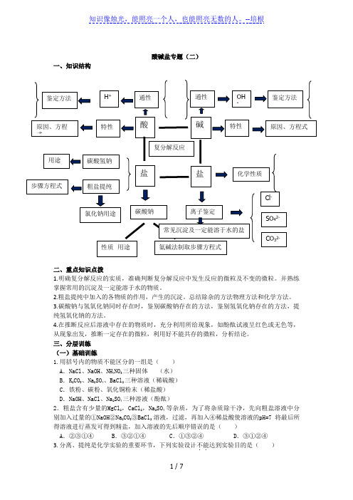 专题九  酸碱盐(二)知识点总结及分层练习 山东省中考化学总复习专题讲义(鲁教版)