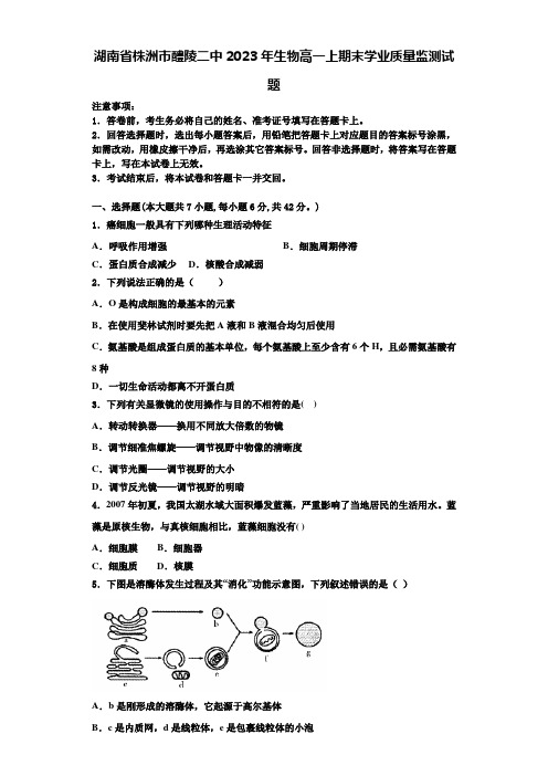 湖南省株洲市醴陵二中2023年生物高一上期末学业质量监测试题含解析