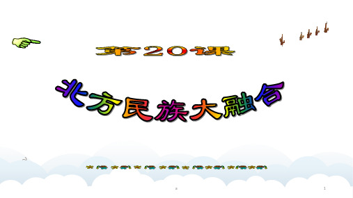 新课标人教版初中历史七年级上册《第20课 北方民族大融合 》