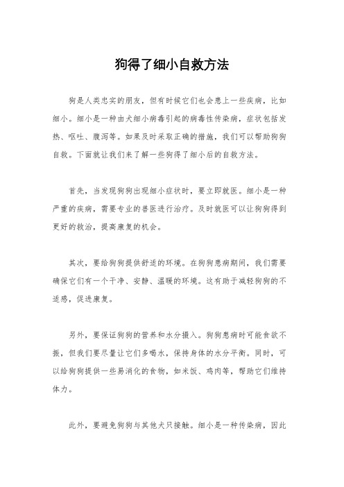 狗得了细小自救方法