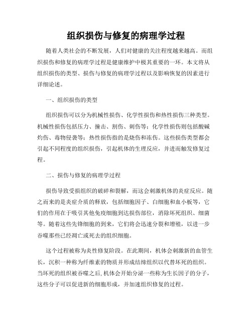 组织损伤与修复的病理学过程