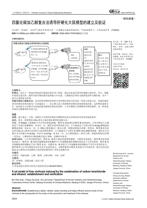 四氯化碳加乙醇复合法诱导肝硬化大鼠模型的建立及验证