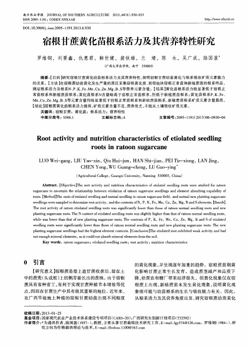 宿根甘蔗黄化苗根系活力及其营养特性研究