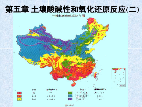 第五章2土壤酸碱性和氧化还原反应