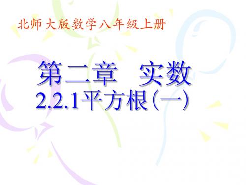 2.2 同步素材 平方根(北师大版八年级上册)10