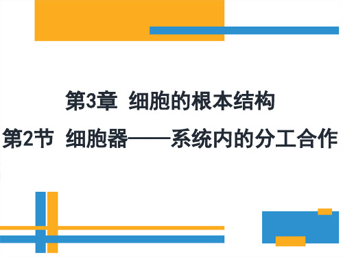 高中生物3.2细胞器——系统内的分工合作优秀课件