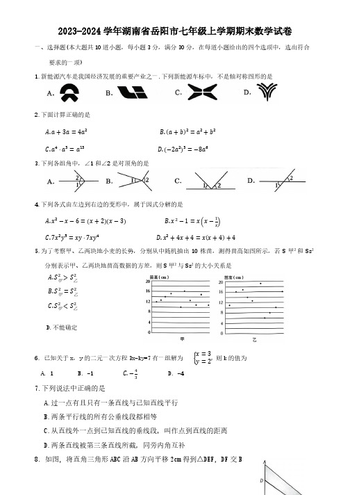 2023-2024学年湖南省岳阳市七年级上学期期末数学试卷