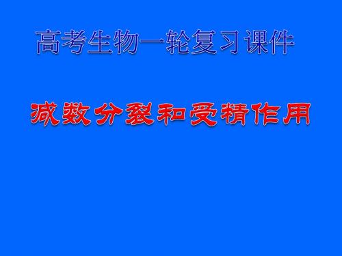 高考生物一轮复习课件：减数分裂和受精作用