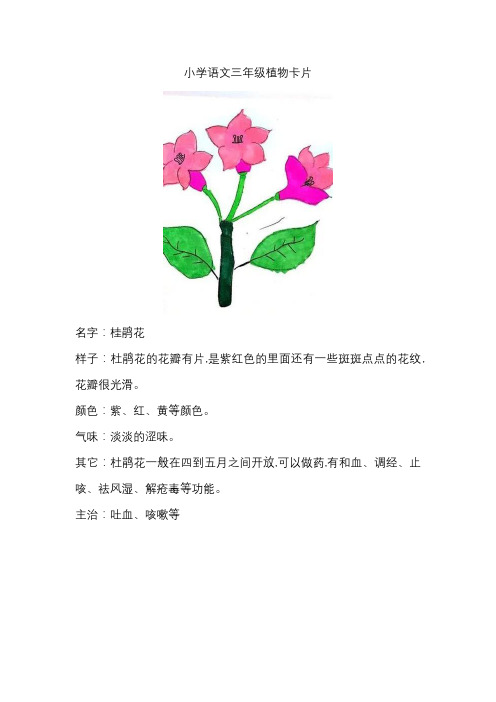 小学语文三年级植物卡片