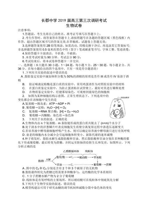 长郡中学2019届高三上学期第三次调研生物试卷及答案