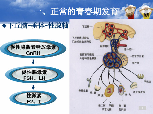 性早熟的诊断和治疗医学PPT课件