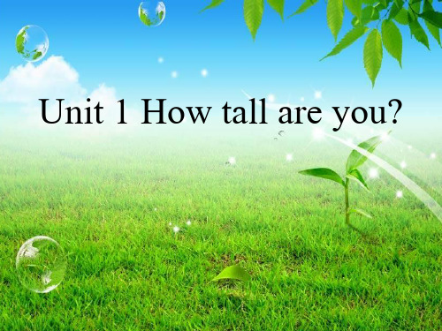 《How Tall Are You》第一课时PPT课件